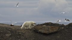 Globálne oteplovanie už