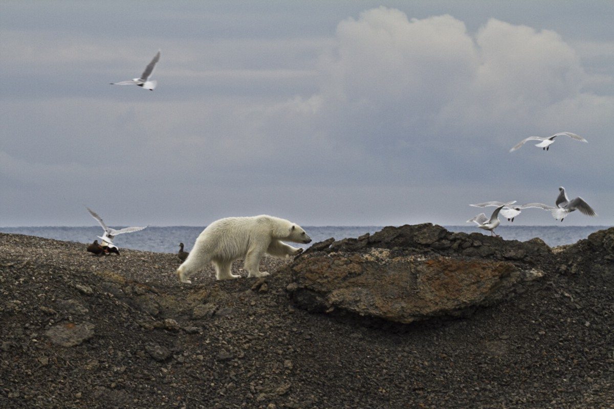 1*DfnWJpFYbxGLbdjVNkb19g