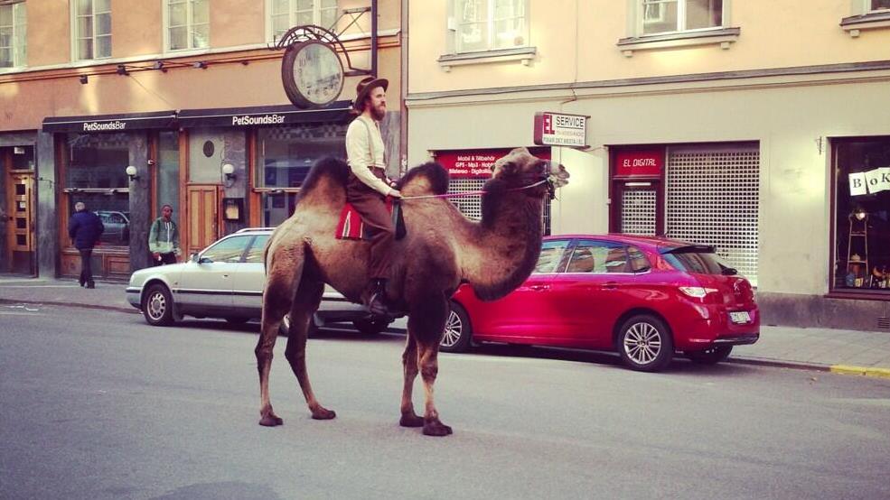 12511242_10208462360779496_1685838841_o