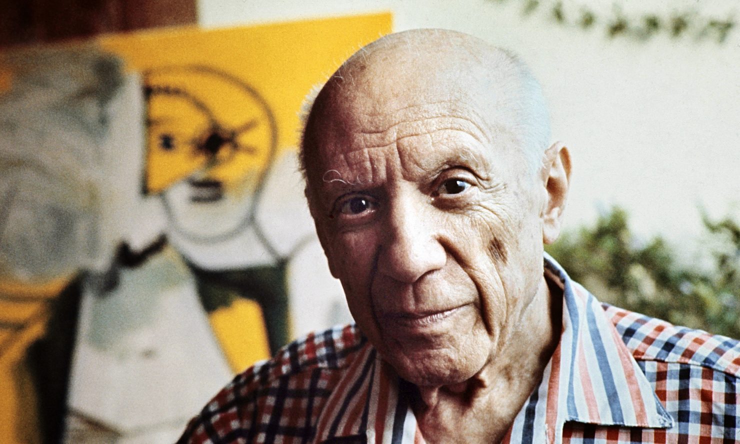 Pablo Picasso, 1971