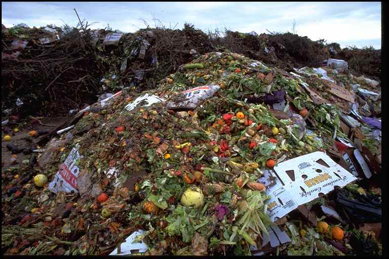 food-waste1