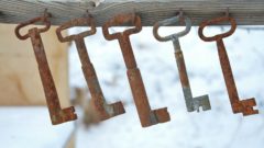 Slovenský startup key.vi