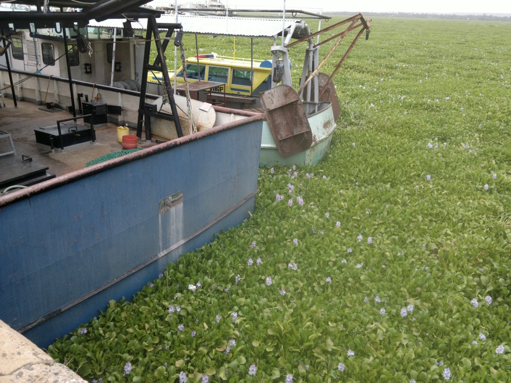 2012-11-13-452 - small