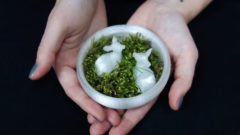 BoredPanda predstavila slovenské