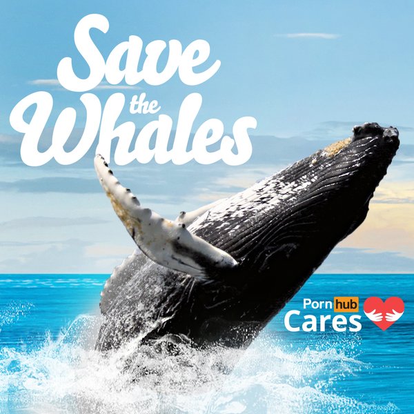 Zachráňme veľryby