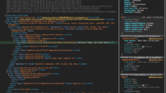 Vývojárska konzola v