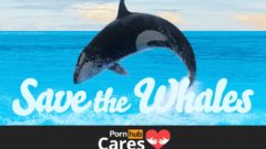 Pozeraním porna môžeme