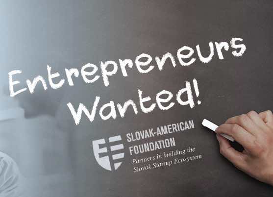 Entrepreneurs-wanted