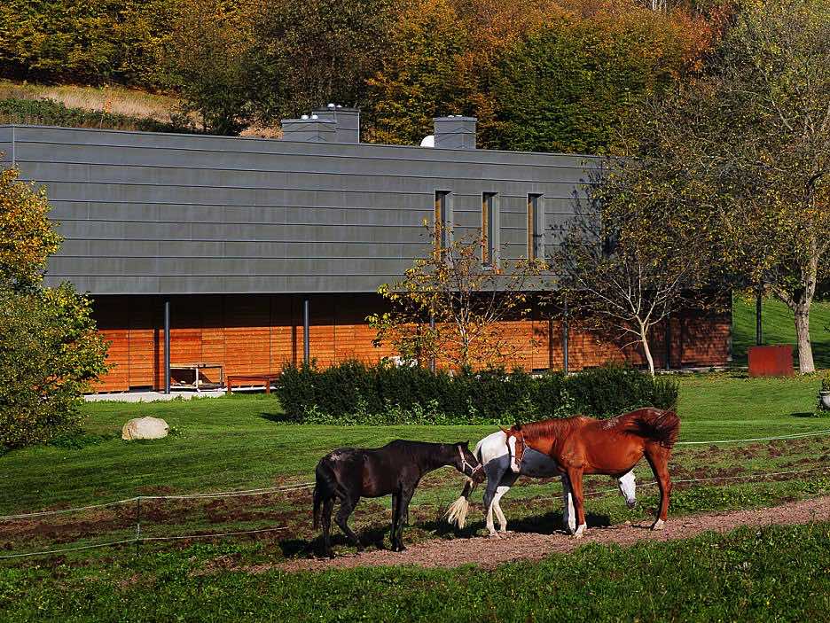 cmsSiteBoxPhoto_2085-1378