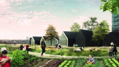 Táto farmárska materská