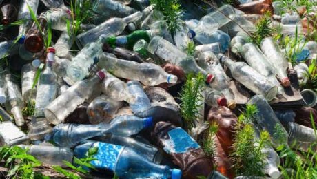 Vedci objavili baktériu,