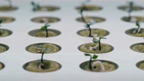 IKEA spúšťa indoor