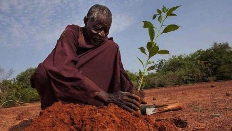 Muž, ktorý zastavil