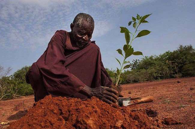 1032105-650-1459519500-NDhsfO4L26LH_1779965_PL