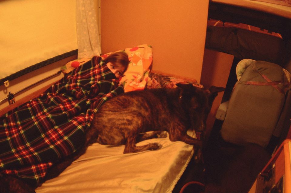 11914588_10200907903976864_2489844812538722066_n