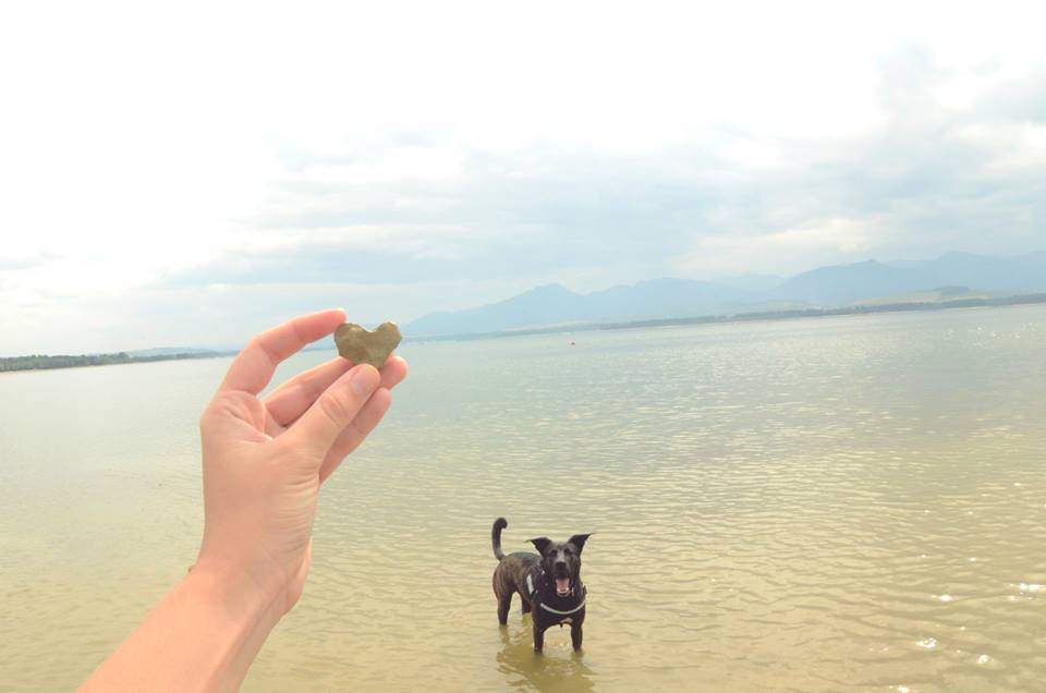 11935073_10200907941337798_2989302819971924431_n