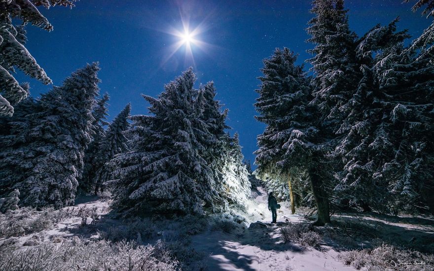 12304137_940444092677233_3391042082955027249_o-570fb6a335c79__880