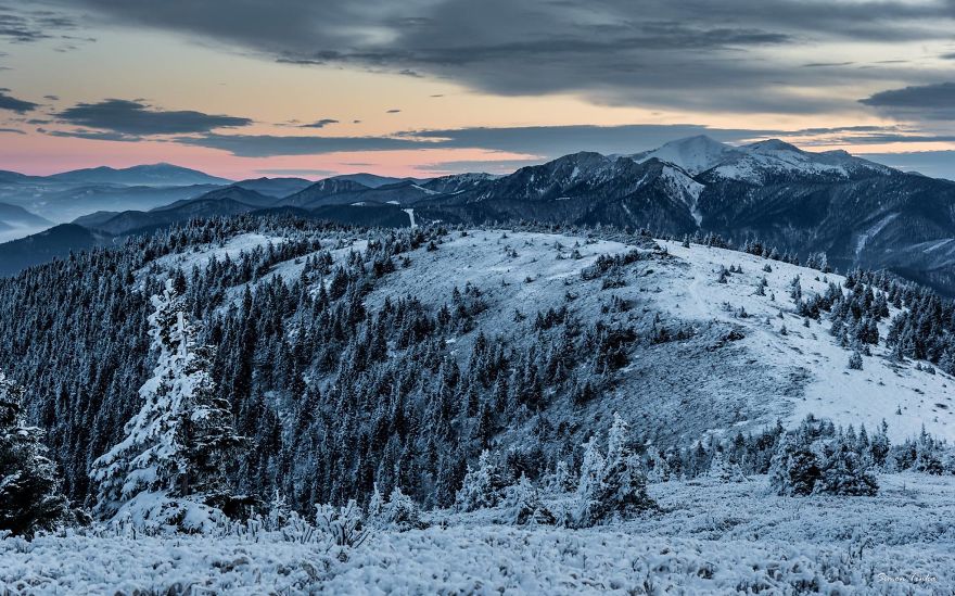 12487251_966789616709347_179495479214111759_o-570fb6766b6ab__880