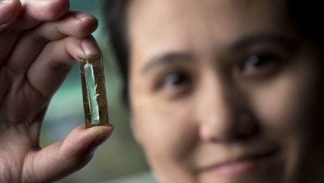 Vedci náhodou vyvinuli