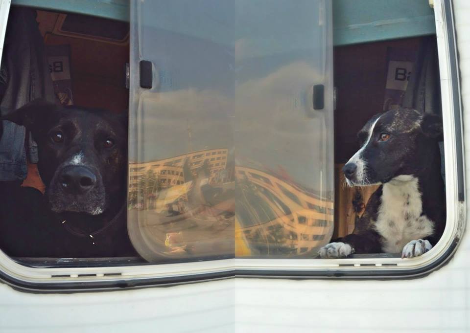 422476_384754928201377_1422022942_n