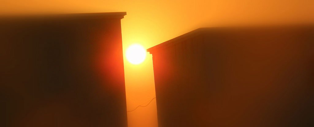 486719017_5790701018_b_1024