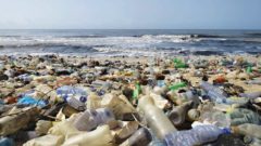 Dizajnér vytvoril zariadenie,