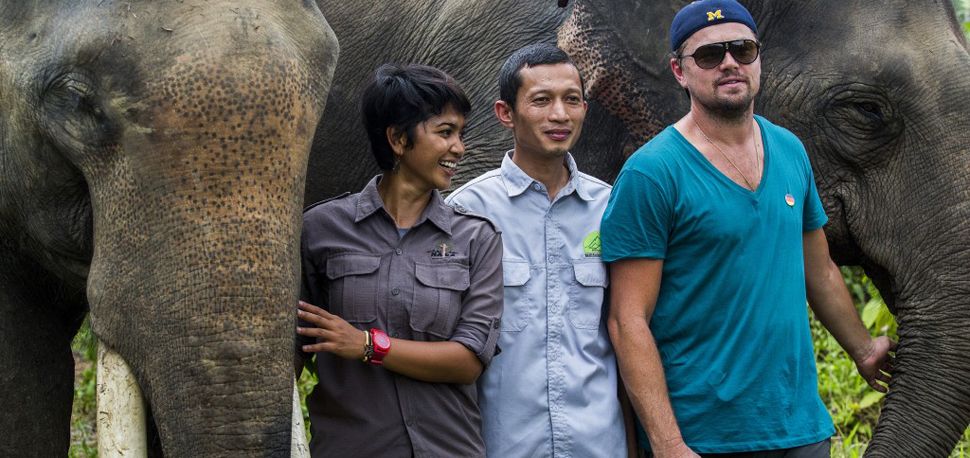 dicaprio zachranuje planetu