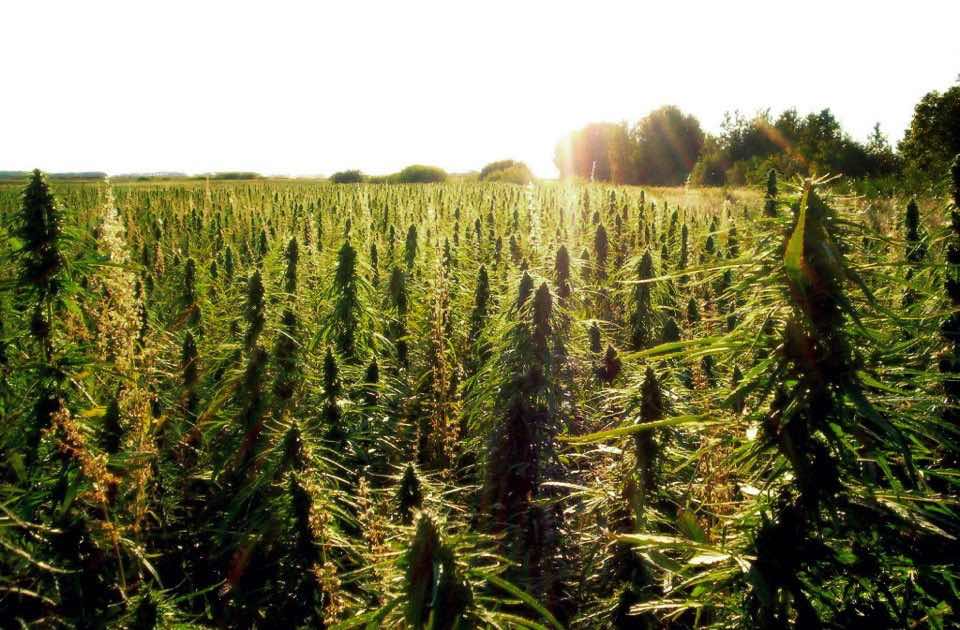 tumblr_m66d36m3BE1r3mrkgo1_1280