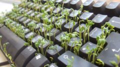 10 dokonalých žartíkov,