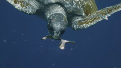 VIDEO: Plastové krúžky,