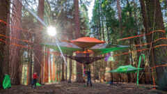 Stanovanie v korunách