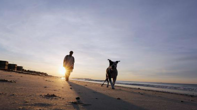 man-walking-dog-getty