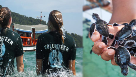 Dobrovoľníctvo je čoraz