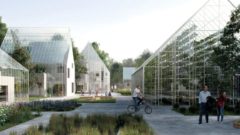 Holandské mestečko si