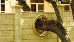 Inšpiratívne fotky ukazujú,