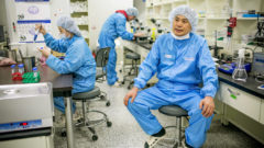 Elizabeth Holmes nebola