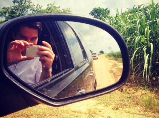 pavol-sugarcane
