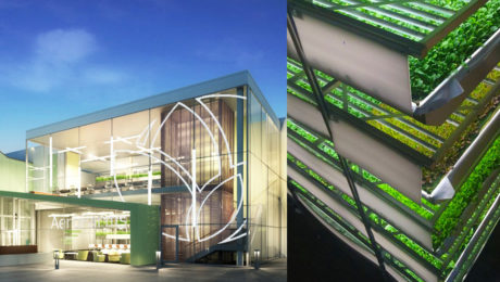 Najväčšia vertikálna farma