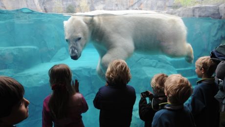 Buenos Aires končí
