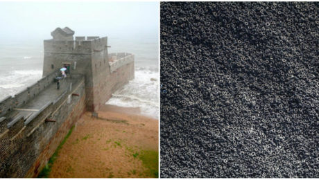 18 dychberúcich fotografií,