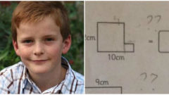 Táto domáca úloha