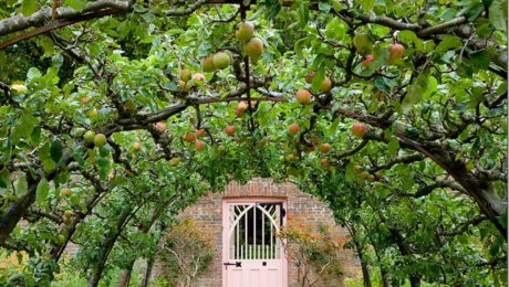 Česká aplikácia prišla