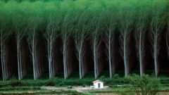 25 fascinujúcich fotografií,