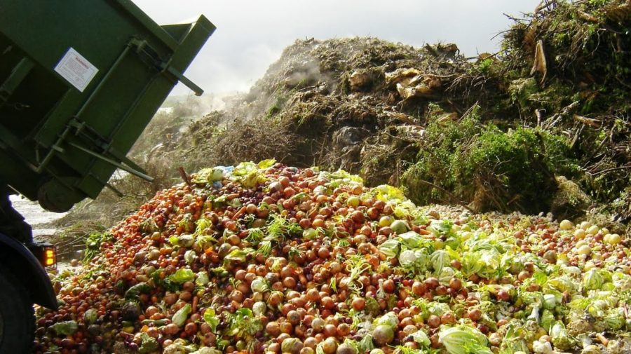 Pilot-scheme-shows-promise-in-repurposing-commercial-food-wastes