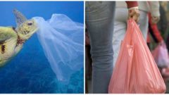 Spoplatnenie plastových tašiek