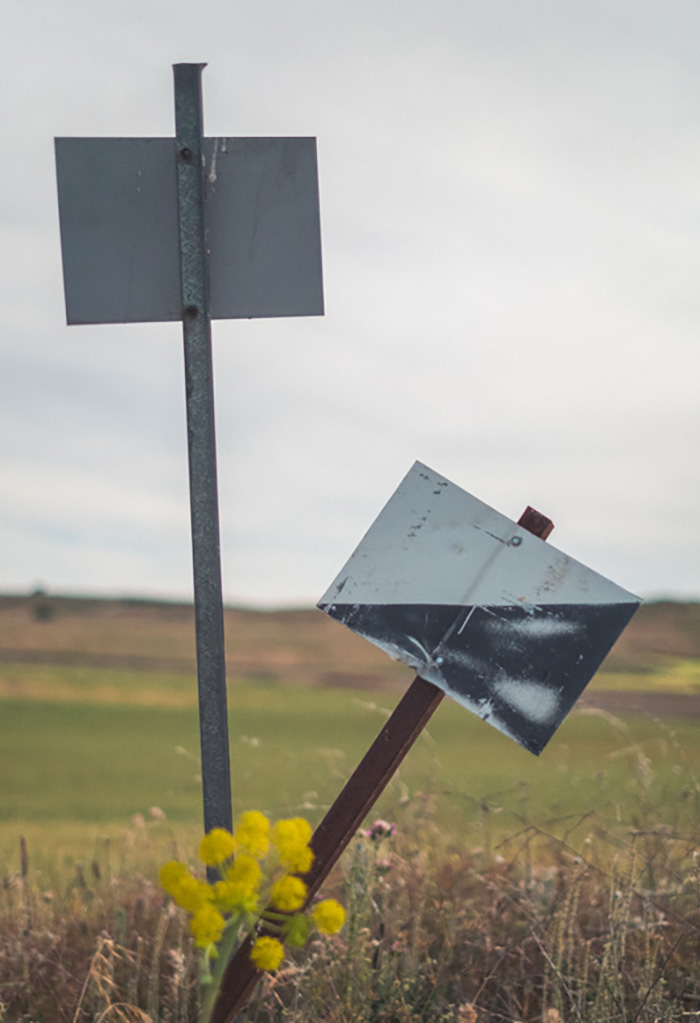 Perfectly Timed Photos