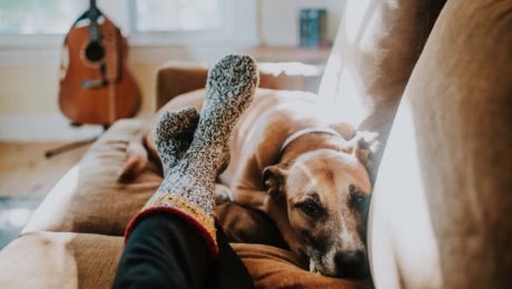 Nevieš sa rozhodnúť?