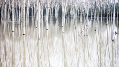 Porcia inšpiratívnych fotografií,