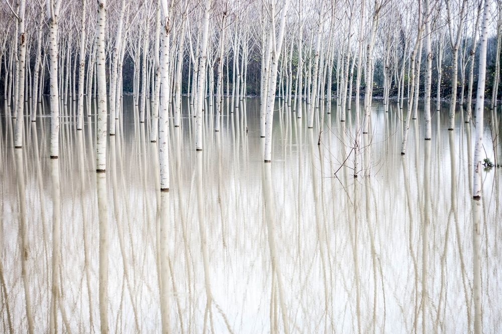 337305-1000-1451759256-1