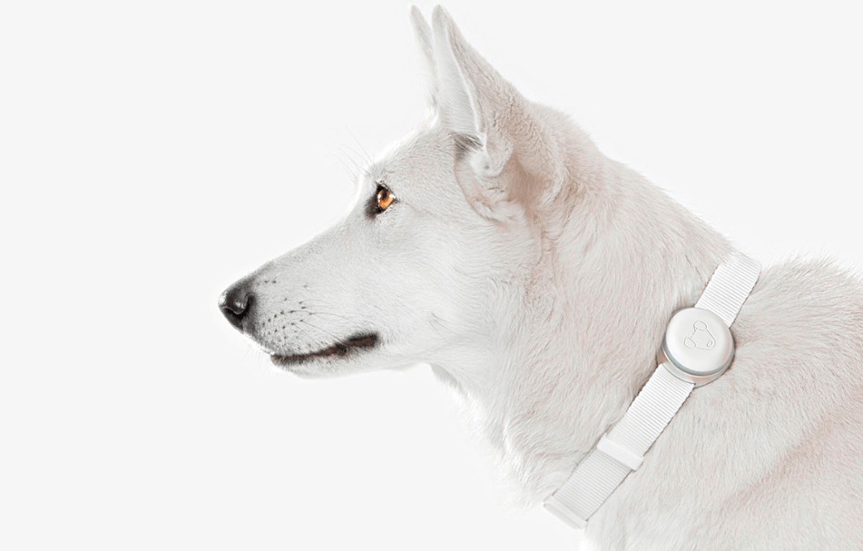 screen-shot-2016-09-24-at-01-06-31